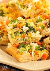 Veggie Squares -This easy appetizer is a great recipe for any get-together.  When you want a break from the ordinary vegetable tray, this is the way to go!  They are always a hit!  Crescent rolls, ranch packet, cream cheese, mayo, veggies, and shredded cheese...super easy!