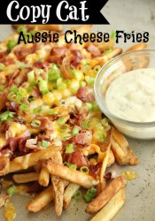 Copy Cat Outback Aussie Cheese Fries