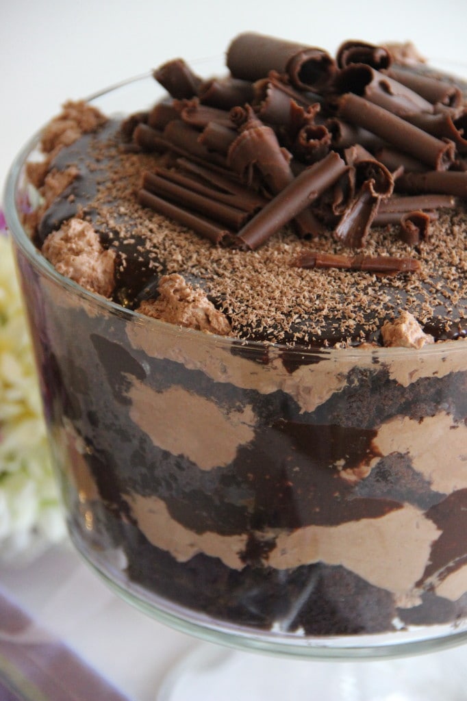 Chocolate Dream Trifle - Diary of a Recipe Collector