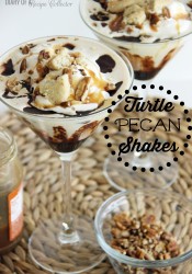 Turtle Pecan Shakes