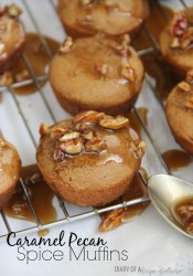 Caramel Pecan Spice Muffins