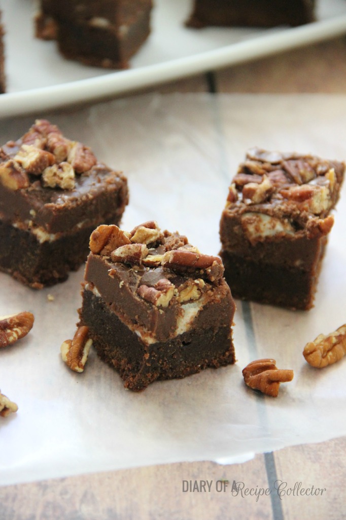 Mississippi Mud Brownies | Diary of a Recipe Collector