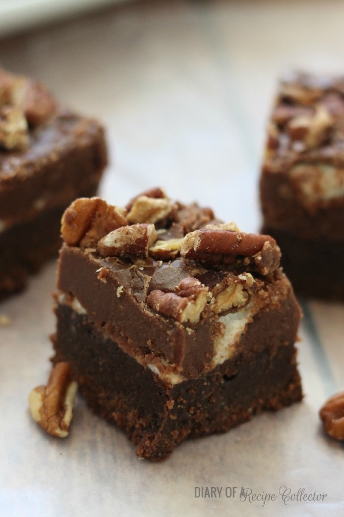 Mississippi Mud Brownies | Diary of a Recipe Collector