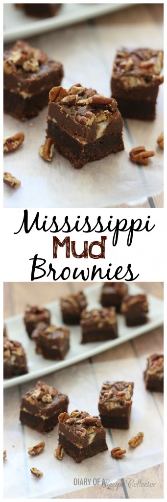 Mississippi Mud Brownies | Diary of a Recipe Collector