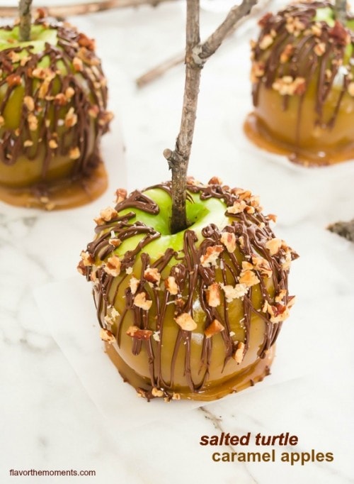 salted-turtle-caramel-apples1-flavorthemoments.com_-500x682