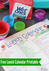 Lunch Calendar & Wet Ones Singles