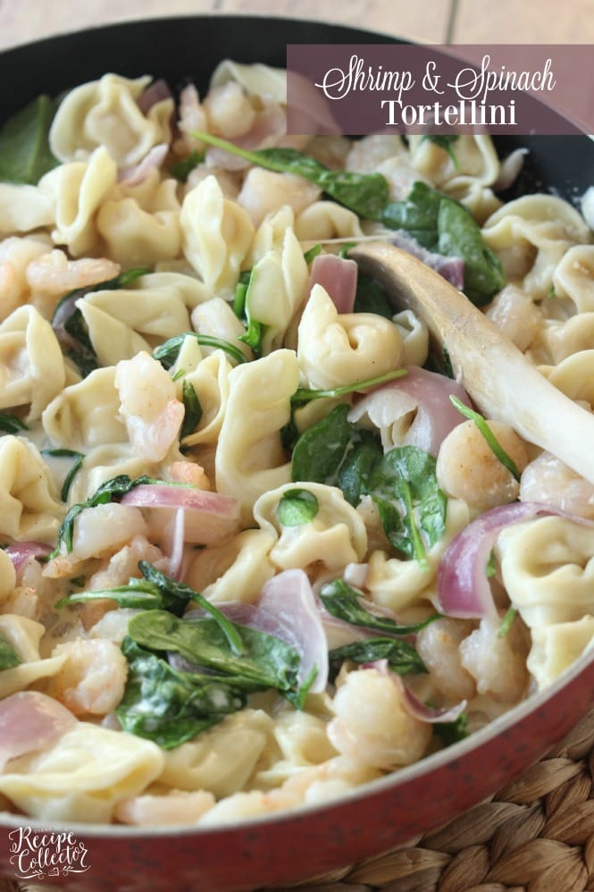 Shrimp & Spinach Tortellini - A creamy cheese tortellini pasta that is super quick and easy to make!