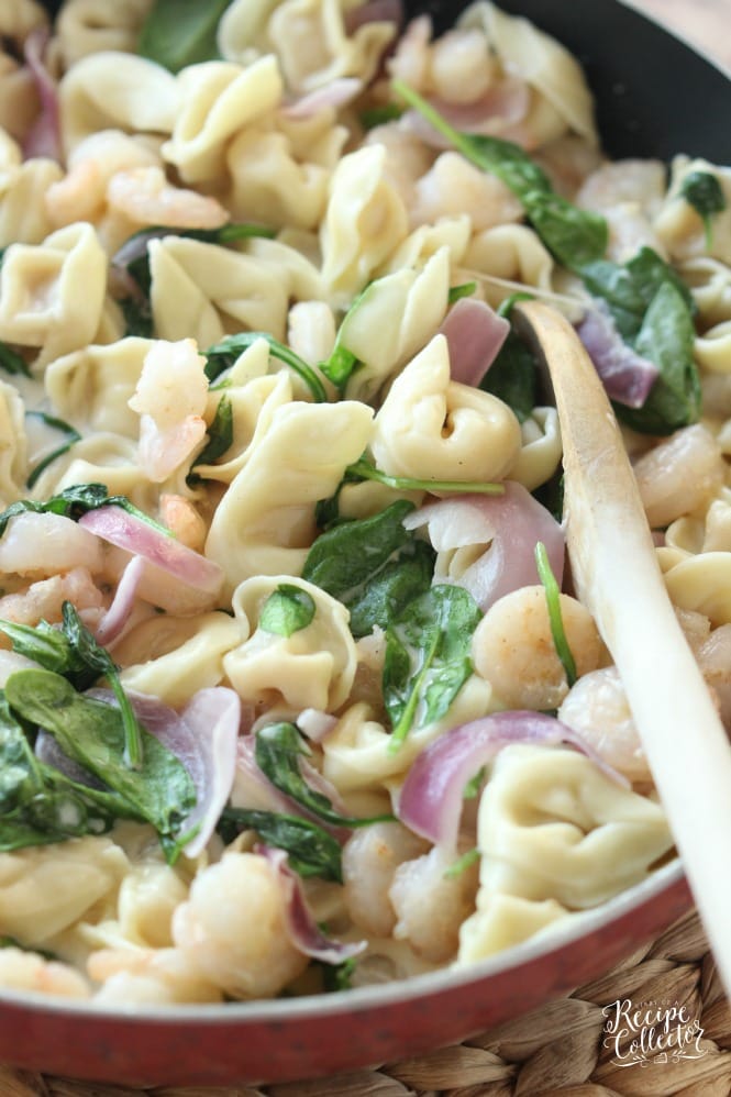 Shrimp & Spinach Tortellini - A creamy cheese tortellini pasta that is super quick and easy to make!