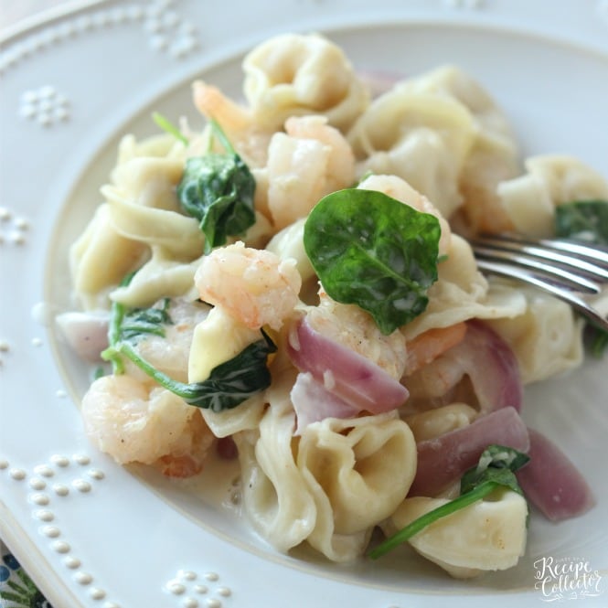 Shrimp & Spinach Tortellini - A creamy cheese tortellini pasta that is super quick and easy to make!