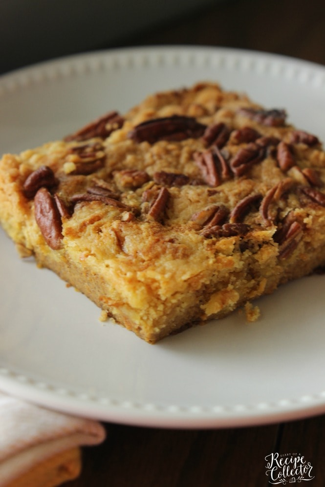 Pumpkin Pecan Cake - An easy pumpkin dessert made with only a few ingredients!