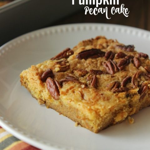 Pumpkin Pecan Cake - An easy pumpkin dessert with a delicious topping made using a box yellow cake mix!