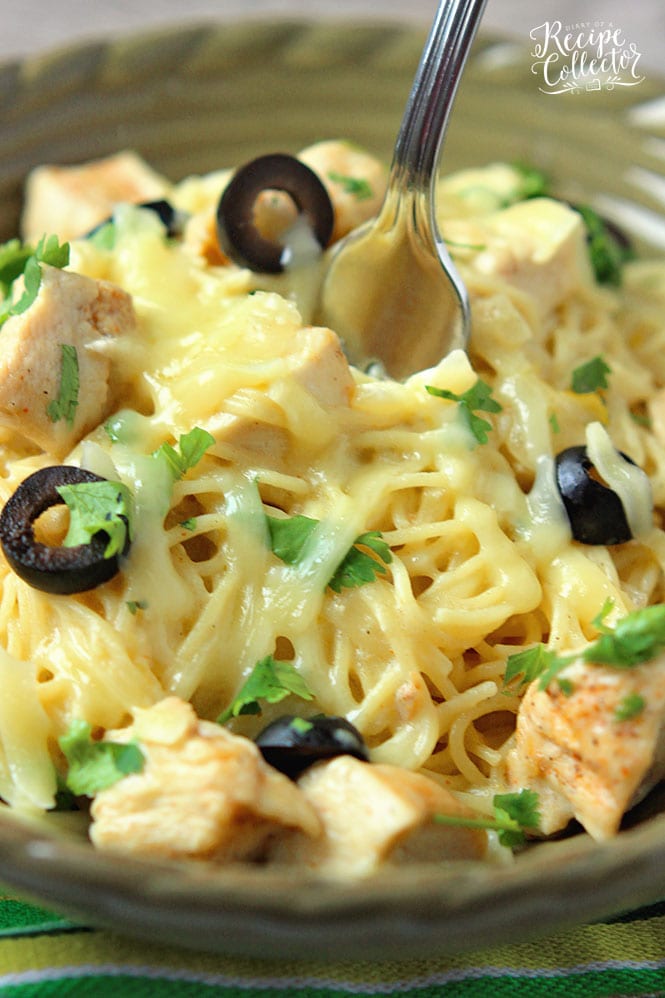 White Chicken Enchilada Pasta - A delicious pasta filled with all the wonderful flavor of white chicken enchiladas with the help of green chilies, a little sour cream, and melted jack cheese.