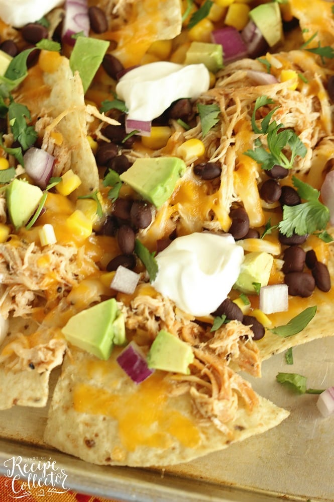 Slow Cooker Chicken Nachos - Chicken breasts cooked with a homemade salsa in the slow cooker, black beans, corn, red onion, and diced avocados piled on corn tortilla chips and broiled to create an easy Mexican dinner!