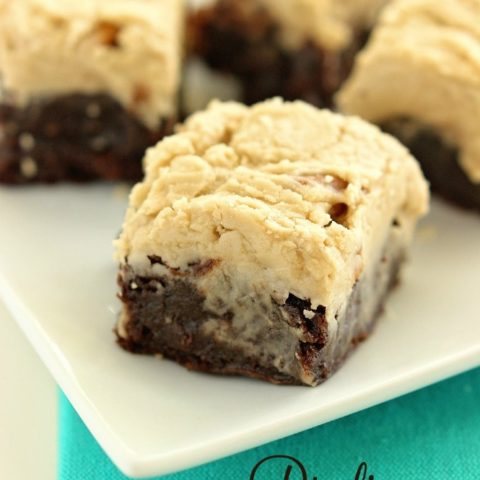 Praline Brownies - Decadent fudge brownies topped with a perfect praline icing!