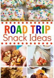 20+ Road Trip Snack Ideas