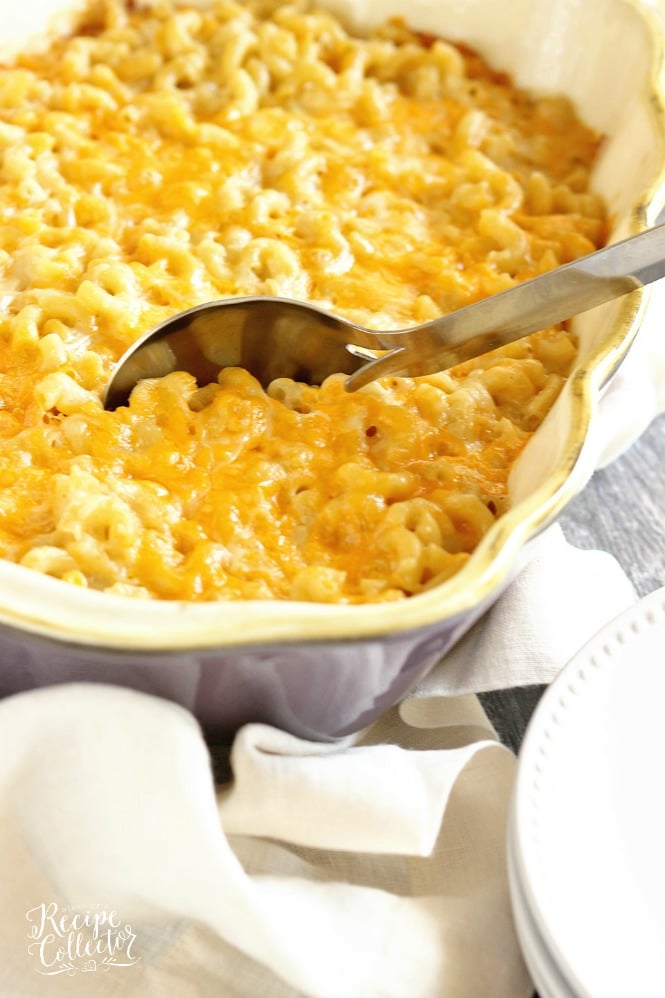 Four Cheese Macaroni - A delicious recipe for homemade macaroni filled with cheddar, muenster, pepperjack, and parmesan cheese!