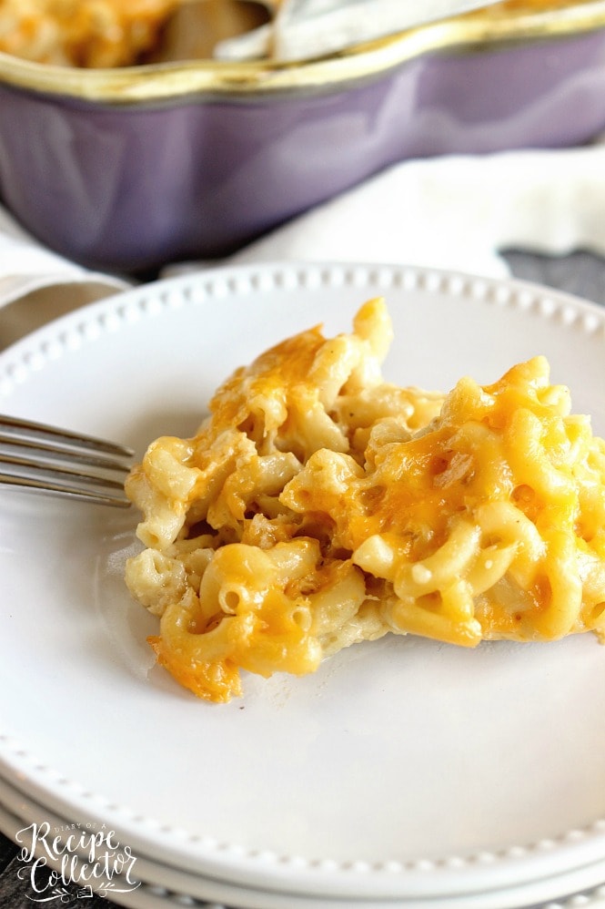 Four Cheese Macaroni - A delicious recipe for homemade macaroni filled with cheddar, muenster, pepperjack, and parmesan cheese!