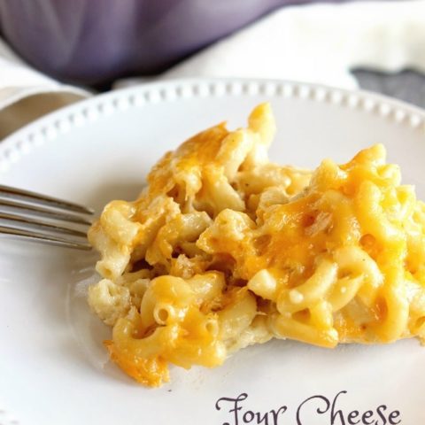 Four Cheese Macaroni - A delicious recipe for homemade macaroni filled with cheddar, muenster, pepperjack, and parmesan cheese!