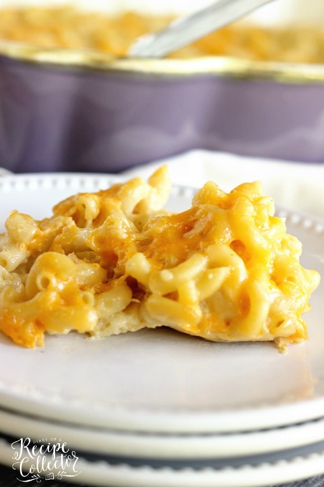 Four Cheese Macaroni - A delicious recipe for homemade macaroni filled with cheddar, muenster, pepperjack, and parmesan cheese!