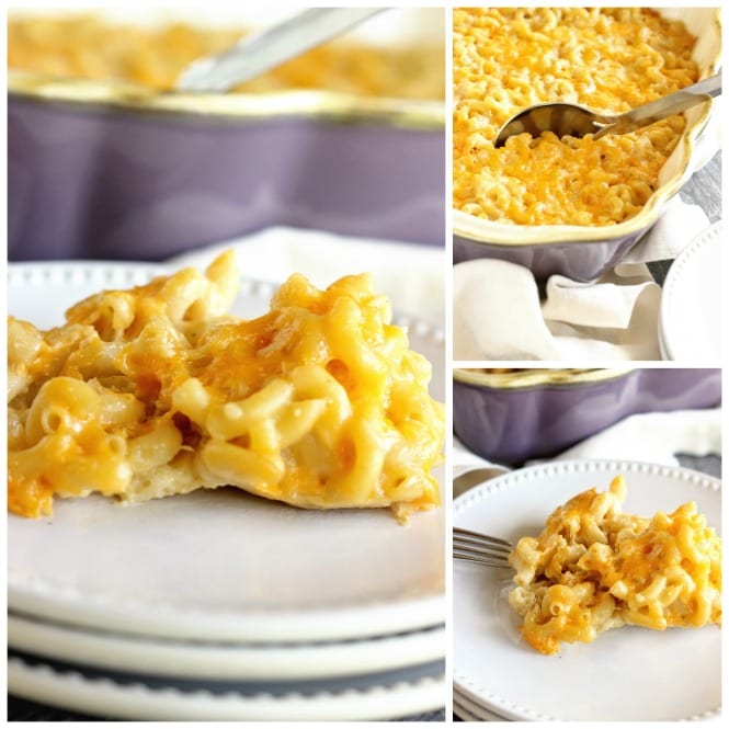 Four Cheese Macaroni - A delicious recipe for homemade macaroni filled with cheddar, muenster, pepperjack, and parmesan cheese!