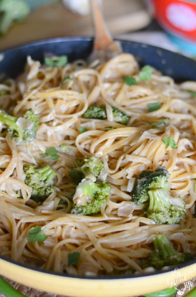 One Pan Broccoli Alfredo Pasta