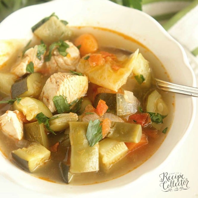 Skinny Chicken and Vegetable Soup - This healthy soup is filled with tons of great vegetables and chicken in a light broth. It will leaving you feeling full and guilt-free!! Plus, it's only 1 freestyle weight watchers point!!