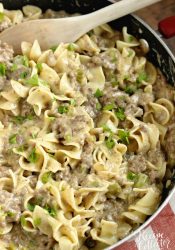 Creamy Beef Noodles