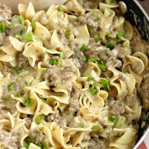 Creamy Beef Noodles - A quick and easy ground beef dinner recipe that is DELICIOUS!  You will want to share this recipe with your friends for sure!