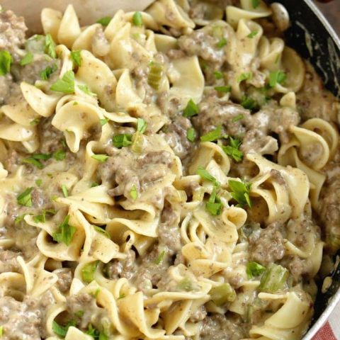 Creamy Beef Noodles - A quick and easy ground beef dinner recipe that is DELICIOUS! You will want to share this recipe with your friends for sure!