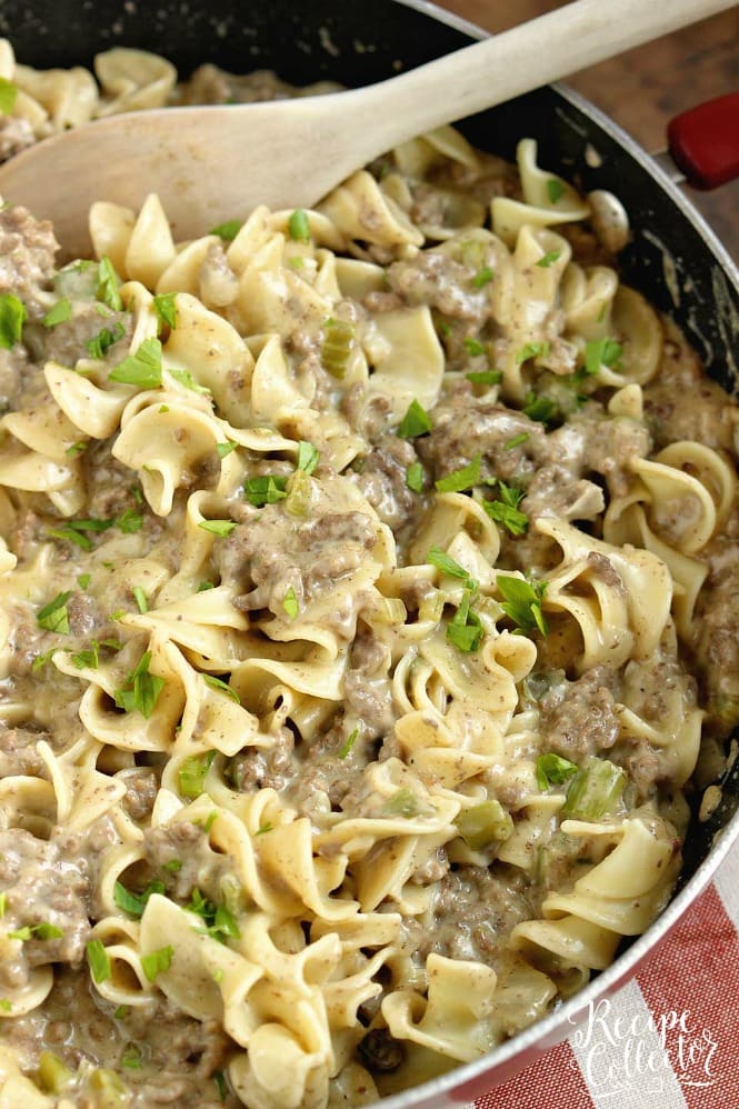 Creamy Beef Noodles Diary Of A Recipe Collector