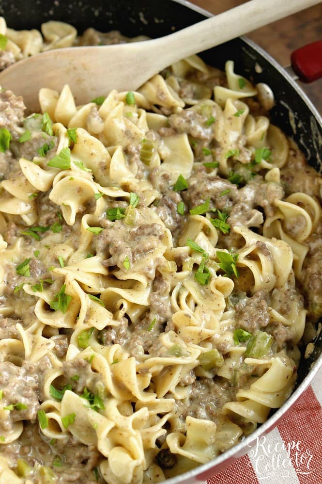 Creamy Beef Noodles - A quick and easy ground beef dinner recipe that is DELICIOUS!  You will want to share this recipe with your friends for sure!