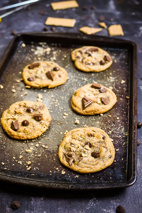 Graham Cracker Chocolate Chip Cookies