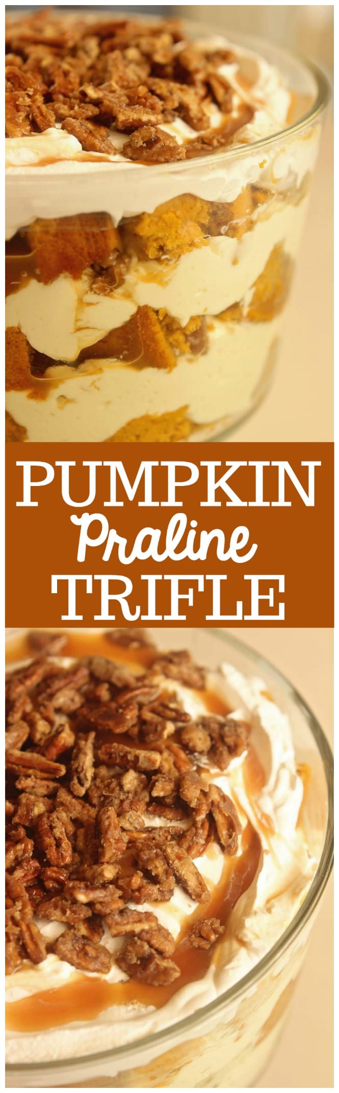 Pumpkin Praline Trifle - This is the ultimate fall dessert recipe with layers of easy pumpkin cake, cream cheese pudding, caramel, and praline pecans.  It's delicious made ahead and great for the busy holiday dinners!