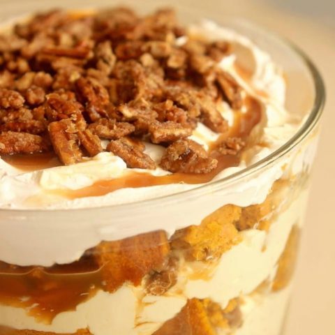 Pumpkin Praline Trifle - This is the ultimate fall dessert recipe with layers of easy pumpkin cake, cream cheese pudding, caramel, and praline pecans.  It's delicious made ahead and great for the busy holiday dinners!