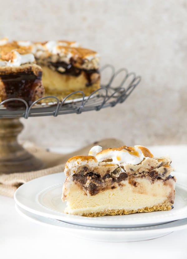 Cookie Dough S'mores Ice Cream Cake