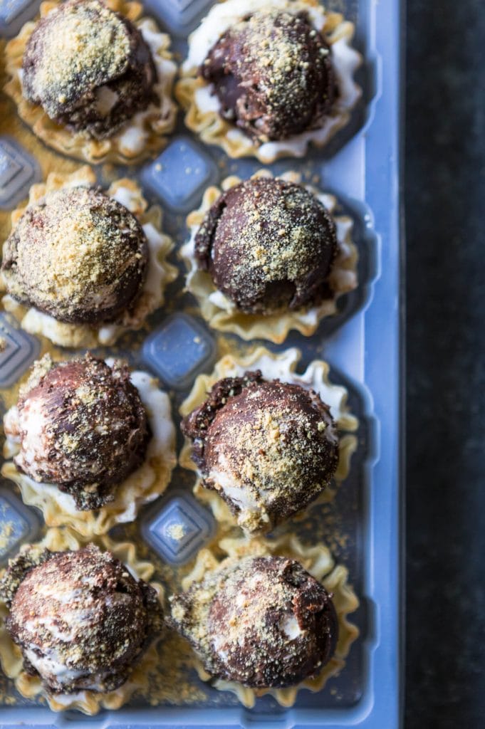 S'mores Truffle Bites