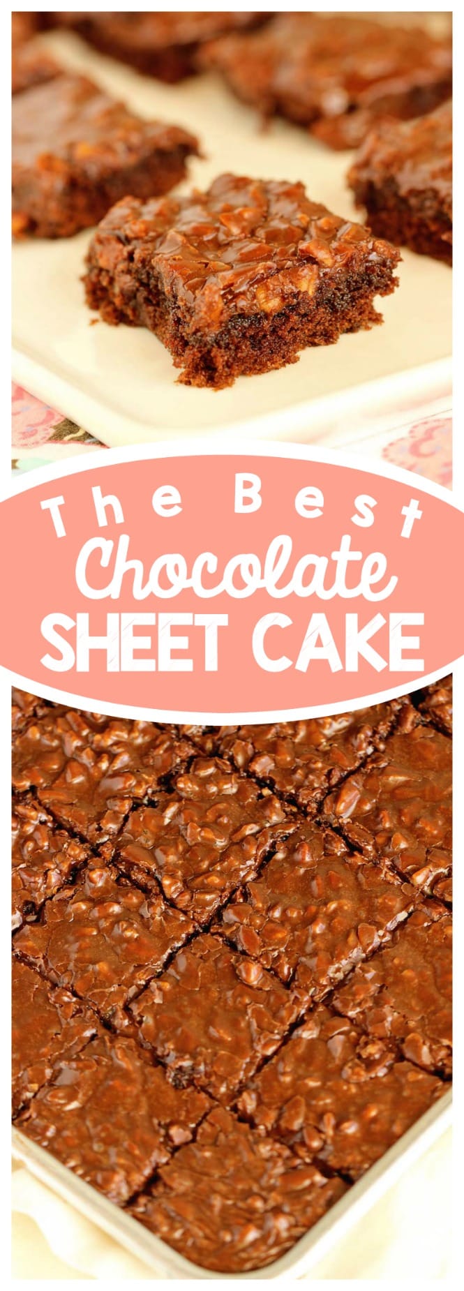 Best Chocolate Sheet Cake Recipe - This homemade chocolate cake with a homemade chocolate pecan icing is one of the best chocolate desserts ever!  There's nothing better than an old-fashioned recipe like this one!