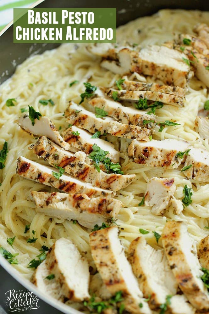 Basil Pesto Chicken Alfredo - An easy, delicious, and quick 30 minute chicken dinner recipe!  