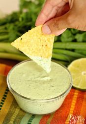 Cilantro Dip