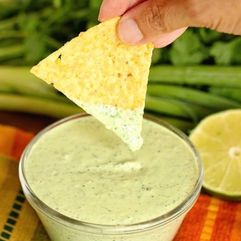 Cilantro Dip - A spicy sauce filled with cilantro, jalapeno and serrano peppers, and lime.  It's great to use as a dip, a dressing, and even a marinade!