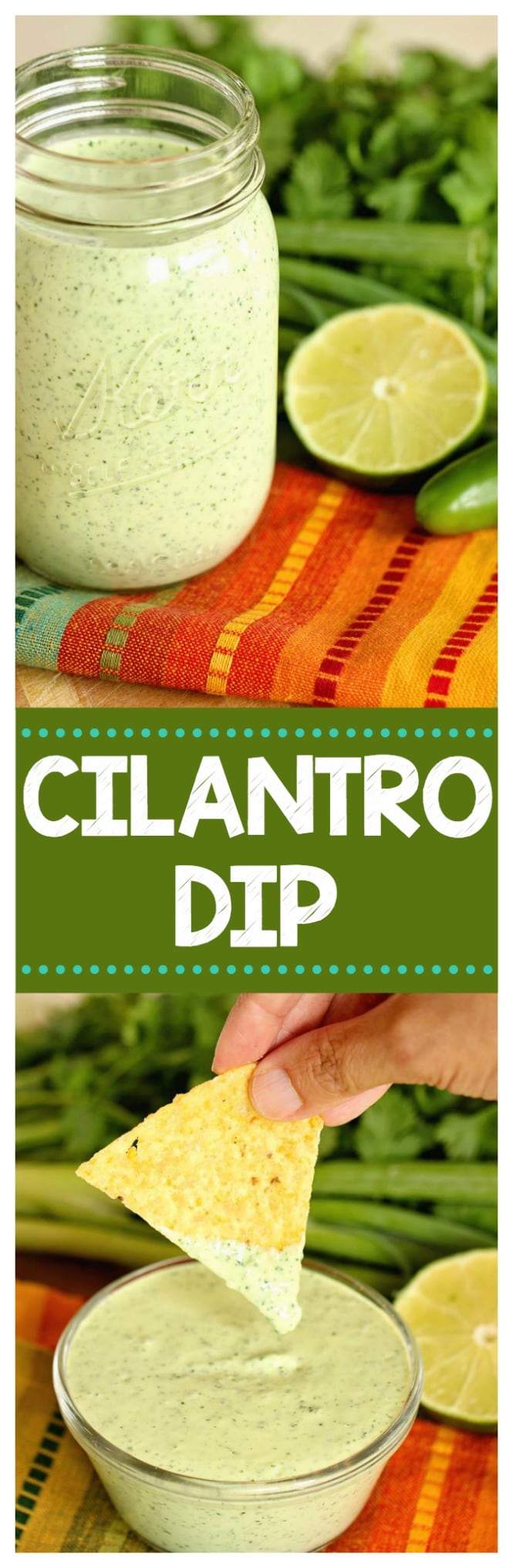Cilantro Dip - A spicy sauce filled with cilantro, jalapeno and serrano peppers, and lime.  It's great to use as a dip, a dressing, and even a marinade!