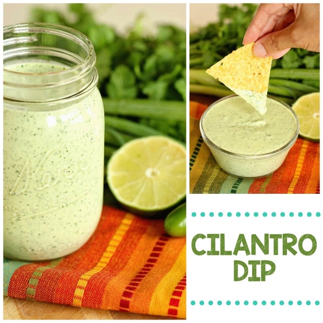 Cilantro Dip - A spicy sauce filled with cilantro, jalapeno and serrano peppers, and lime.  It's great to use as a dip, a dressing, and even a marinade!