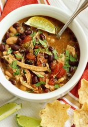 Instant Pot Green Chile Chicken Soup