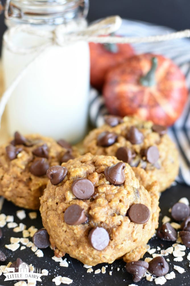 Pumpkin Oatmeal Chocolate Chip Cookies