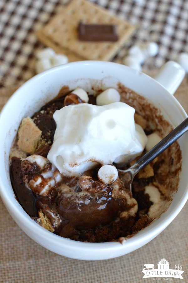 S'mores Chocolate Mug Cake