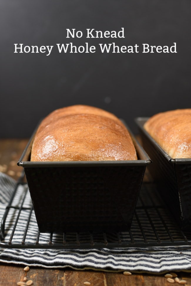 No Knead Whole Wheat Bread