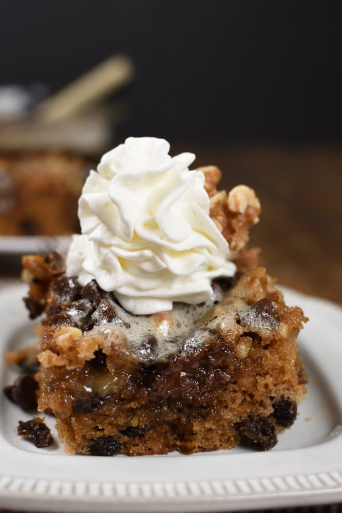 Chocolate Chip Picnic Spice Cake