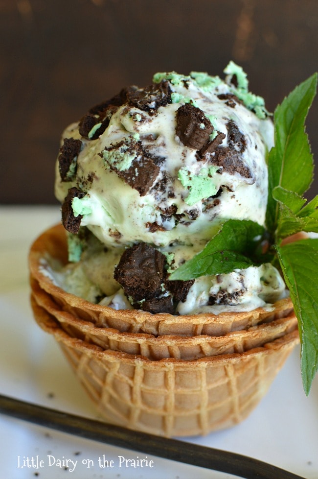 No Churn Mint Cookie Ice Cream