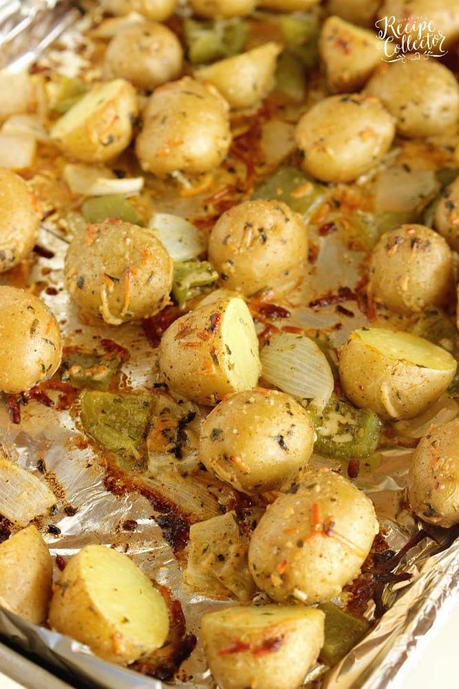 Roasted Creole Potatoes - An easy roasted potato side dish filled with onions, green bell peppers, parmesan cheese, and Creole spices.