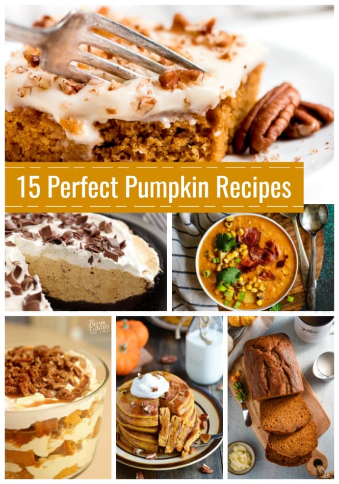 15 Pumpkin Recipes you must try for fall!